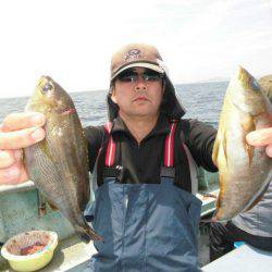 大進丸(愛知) 釣果