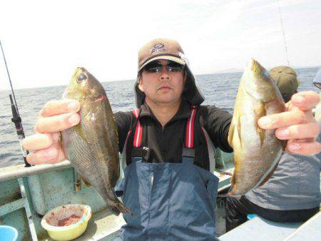 大進丸(愛知) 釣果