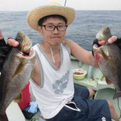 大進丸(愛知) 釣果