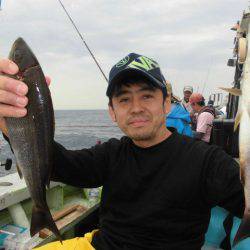 大進丸(愛知) 釣果