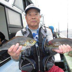 大進丸(愛知) 釣果