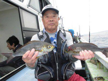 大進丸(愛知) 釣果