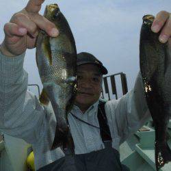 大進丸(愛知) 釣果