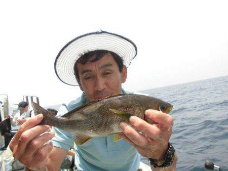 大進丸(愛知) 釣果