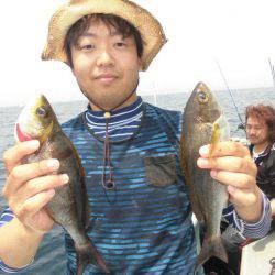 大進丸(愛知) 釣果