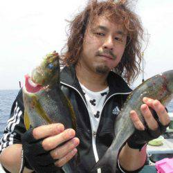 大進丸(愛知) 釣果