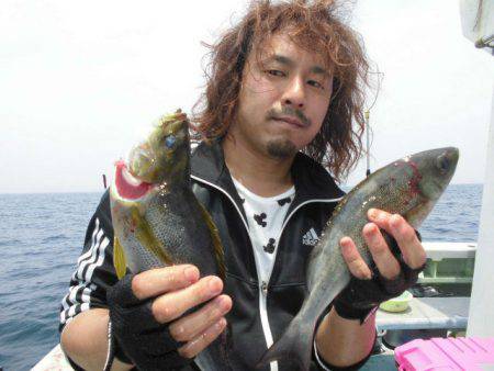 大進丸(愛知) 釣果