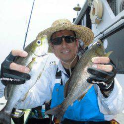 大進丸(愛知) 釣果