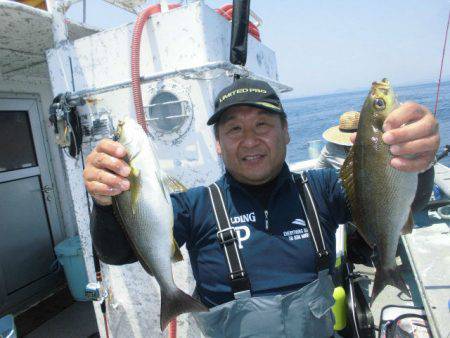 大進丸（愛知） 釣果