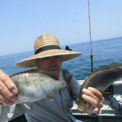 大進丸（愛知） 釣果