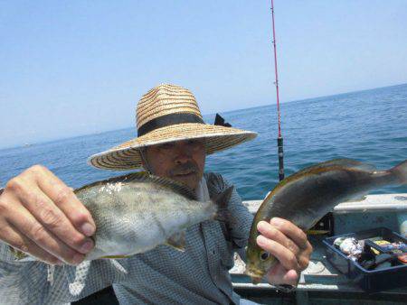 大進丸（愛知） 釣果