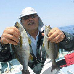 大進丸（愛知） 釣果