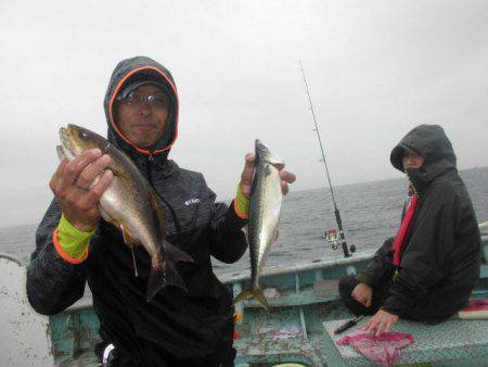 大進丸（愛知） 釣果