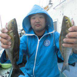 大進丸（愛知） 釣果