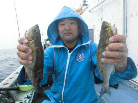 大進丸（愛知） 釣果