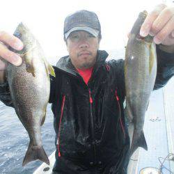 大進丸（愛知） 釣果