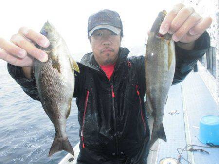 大進丸（愛知） 釣果