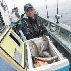 大進丸（愛知） 釣果