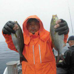 大進丸（愛知） 釣果