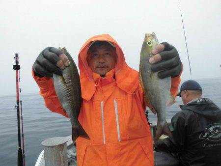 大進丸（愛知） 釣果