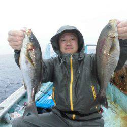 大進丸(愛知) 釣果