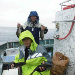 大進丸(愛知) 釣果