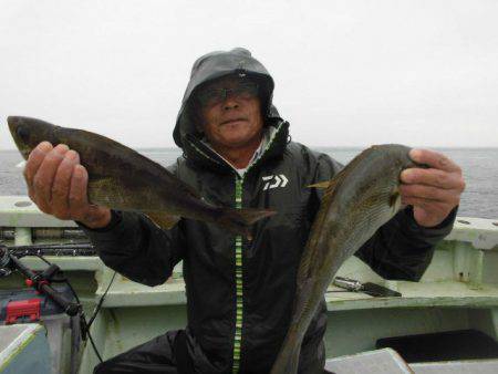 大進丸(愛知) 釣果