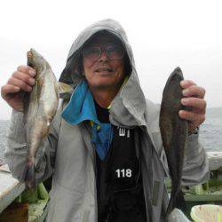 大進丸(愛知) 釣果