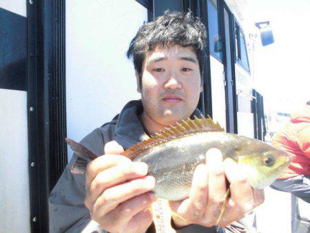 大進丸（愛知） 釣果