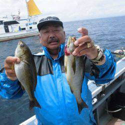 大進丸(愛知) 釣果