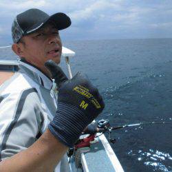 大進丸(愛知) 釣果