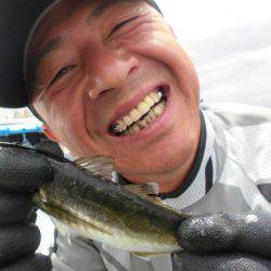 大進丸(愛知) 釣果