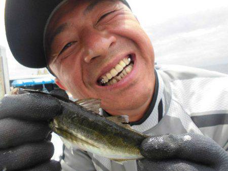 大進丸(愛知) 釣果