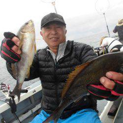 大進丸(愛知) 釣果