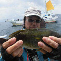 大進丸(愛知) 釣果