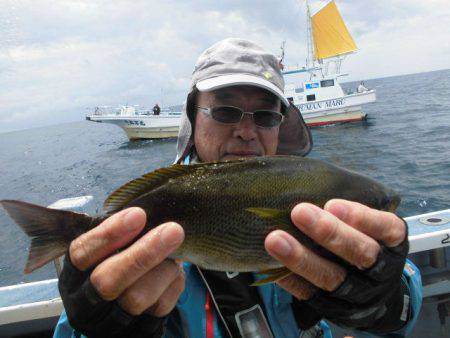大進丸(愛知) 釣果