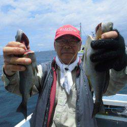 大進丸(愛知) 釣果