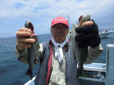 大進丸(愛知) 釣果