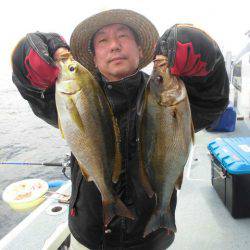 大進丸(愛知) 釣果