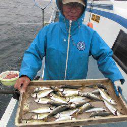 大進丸（愛知） 釣果
