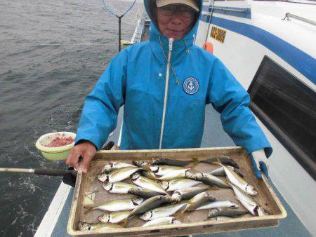 大進丸（愛知） 釣果