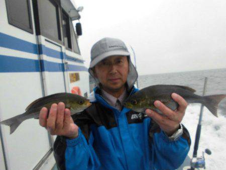 大進丸（愛知） 釣果