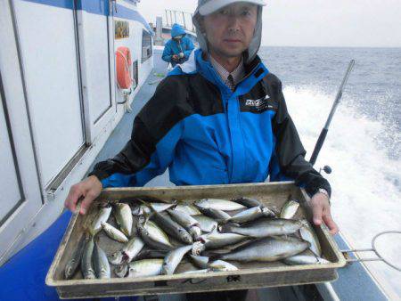 大進丸（愛知） 釣果
