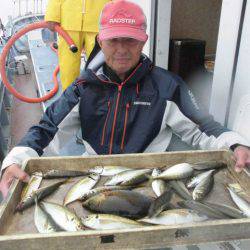 大進丸（愛知） 釣果