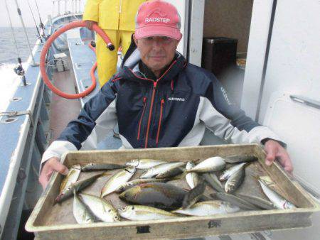 大進丸（愛知） 釣果