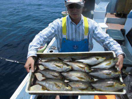 大進丸(愛知) 釣果