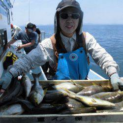 大進丸(愛知) 釣果