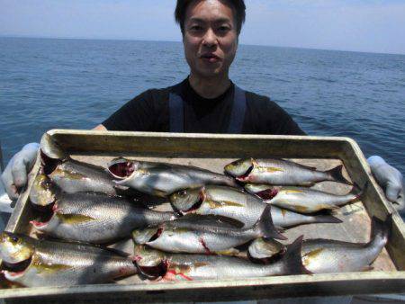 大進丸(愛知) 釣果