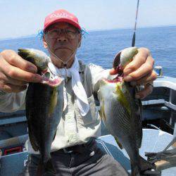 大進丸(愛知) 釣果