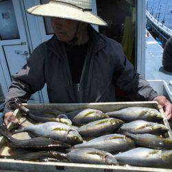 大進丸(愛知) 釣果